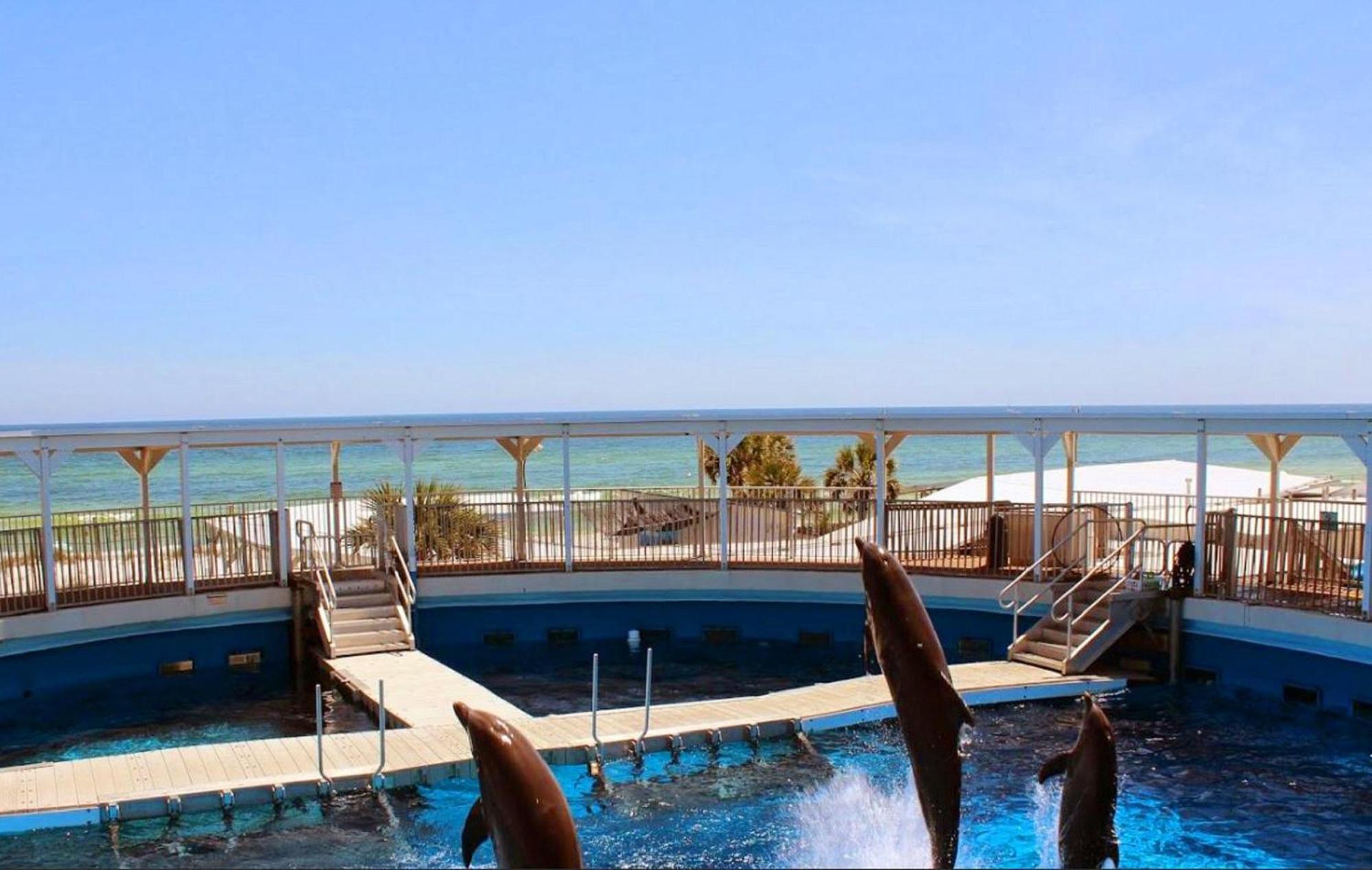 Island Sands 206 Φορτ Γουόλτον Μπιτς Εξωτερικό φωτογραφία